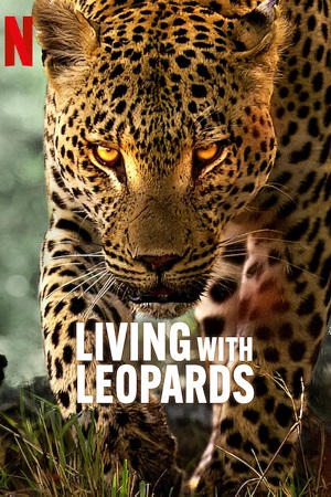 Living with Leopards (2024) {English with Subtitles} Full Movie WEB-DL 480p [200MB] | 720p [570MB] | 1080p [1.3GB]