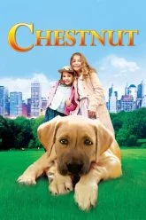 Chestnut-Hero-of-Central-Park