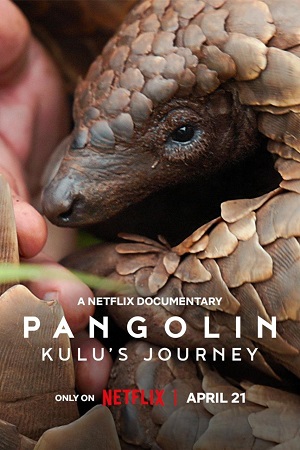 Pangolin: Kulu’s Journey (2025) WEB-DL Dual Audio {Hindi-English} 480p [320MB] | 720p [760MB] | 1080p [2GB]