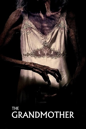 The Grandmother (2019) Dual Audio {Hindi-English} BluRay 480p [350MB] | 720p [950MB] | 1080p [2GB]